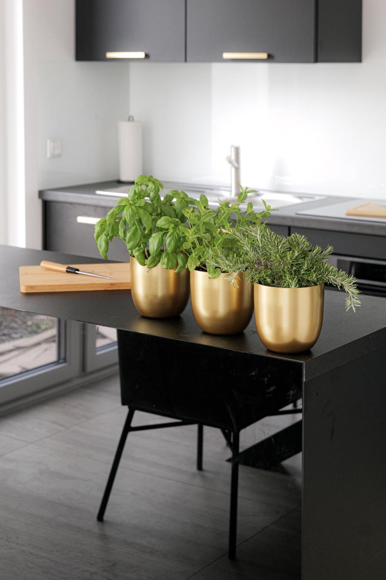 Lulex IV - Traumwohnung Terasse Garten In Neuss Exterior foto